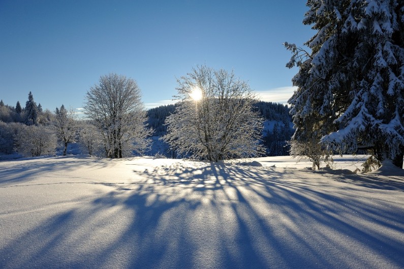 Meteo France L Hiver 15 16 Enregistre Comme Le Plus Chaud Depuis 1900 En France