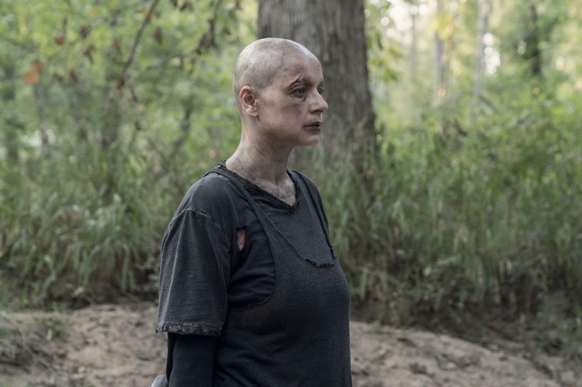 The Walking Dead Saison 11 Episode 10 Vostfr "The Walking Dead", saison 10, épisode 11 : émotions et retrouvailles