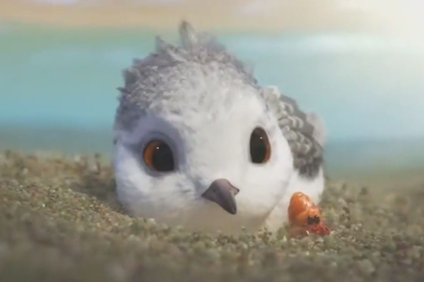 VIDÉO - "Piper", le nouveau court-métrage adorable de Pixar sur un oisillon