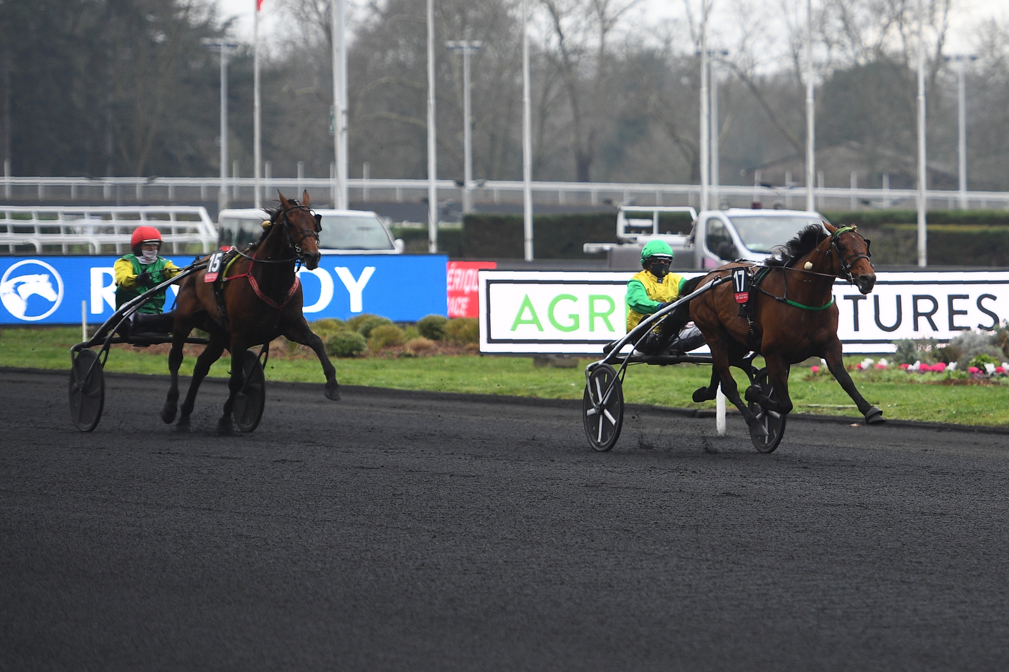 Prix DAmérique 2021 Prix DAmérique 2021