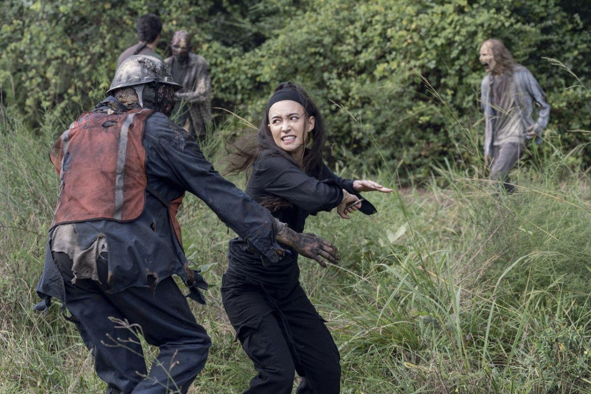 Twd Saison 11 Episode 8 The Walking Dead" : quand sera diffusée la suite de la saison 10 en France ?