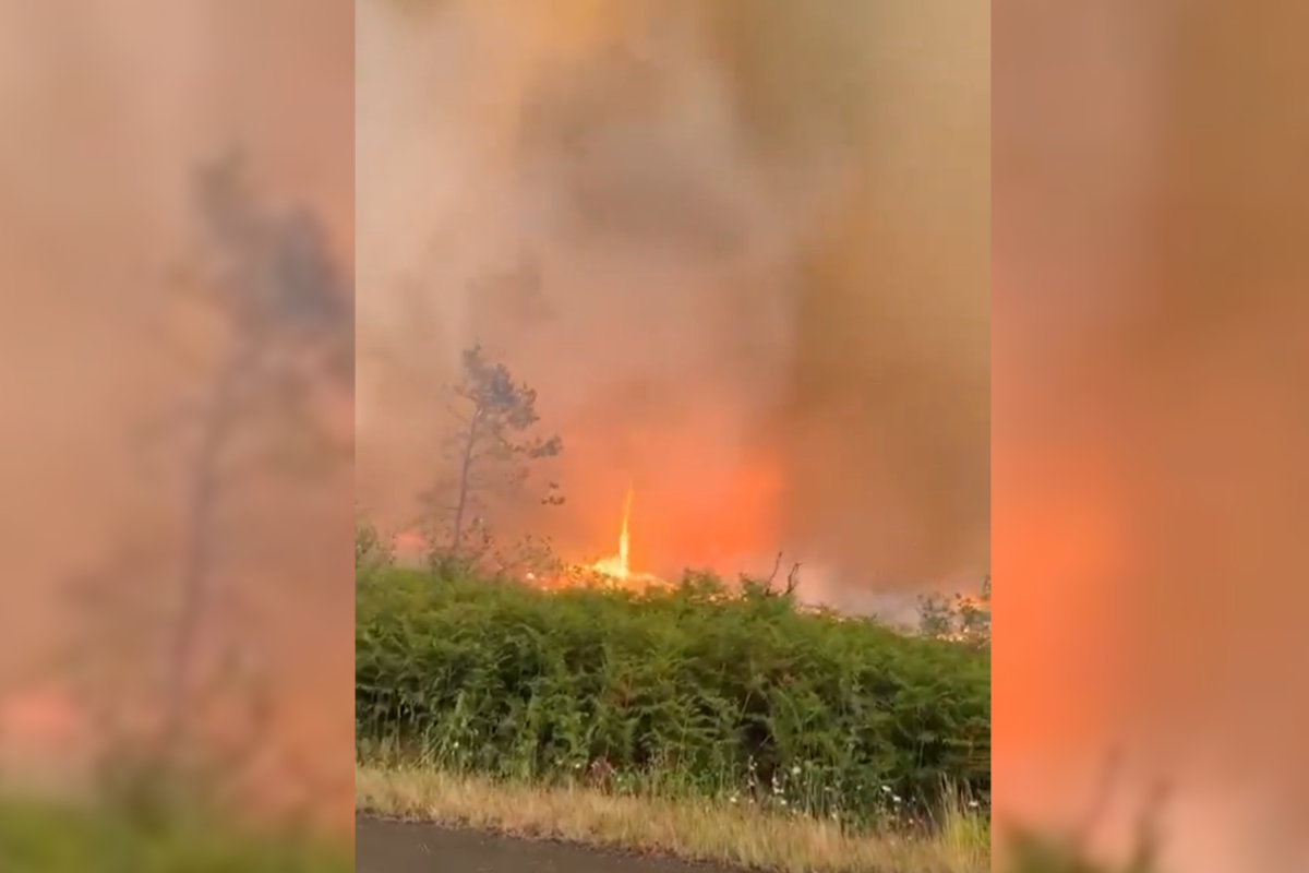 Une "tornade de feu" en Gironde : c'est quoi ce phénomène spectaculaire qui s'est formé sous les yeux des pompiers sur l'incendie de Saumos mercredi ?