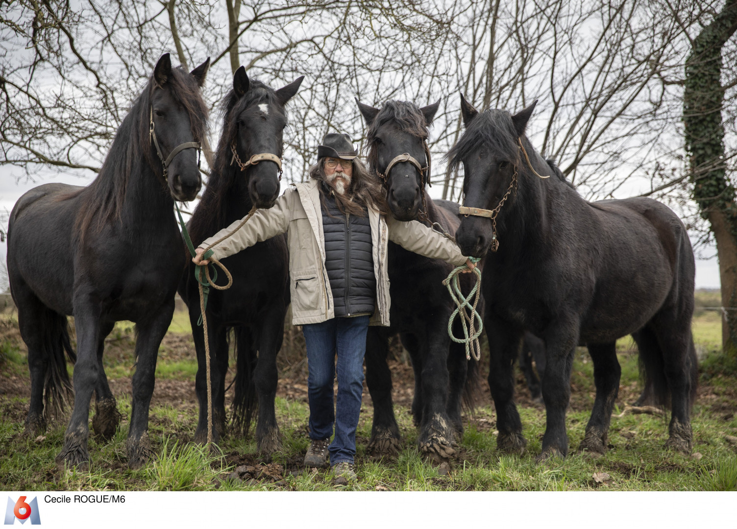 rencontre femme aimant les chevaux
