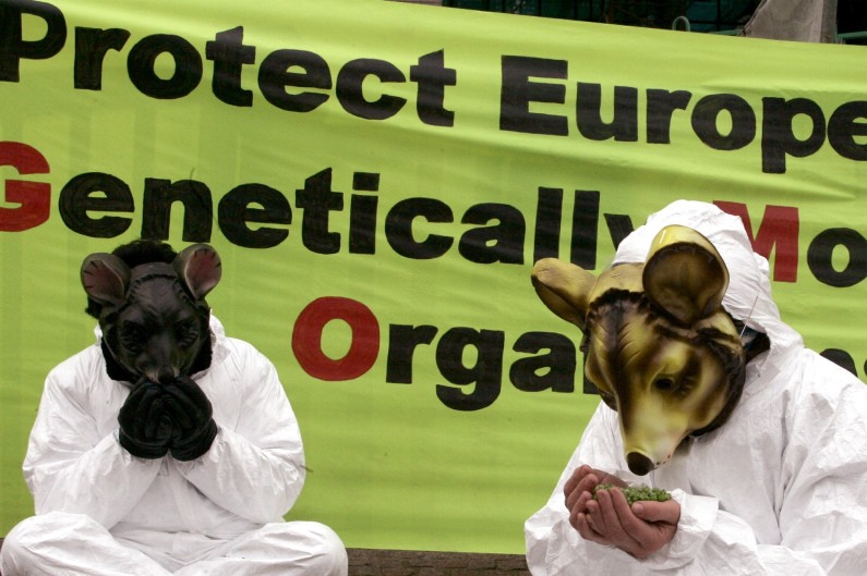 OGM : vers une liberté des Etats membres de l'UE de choisir