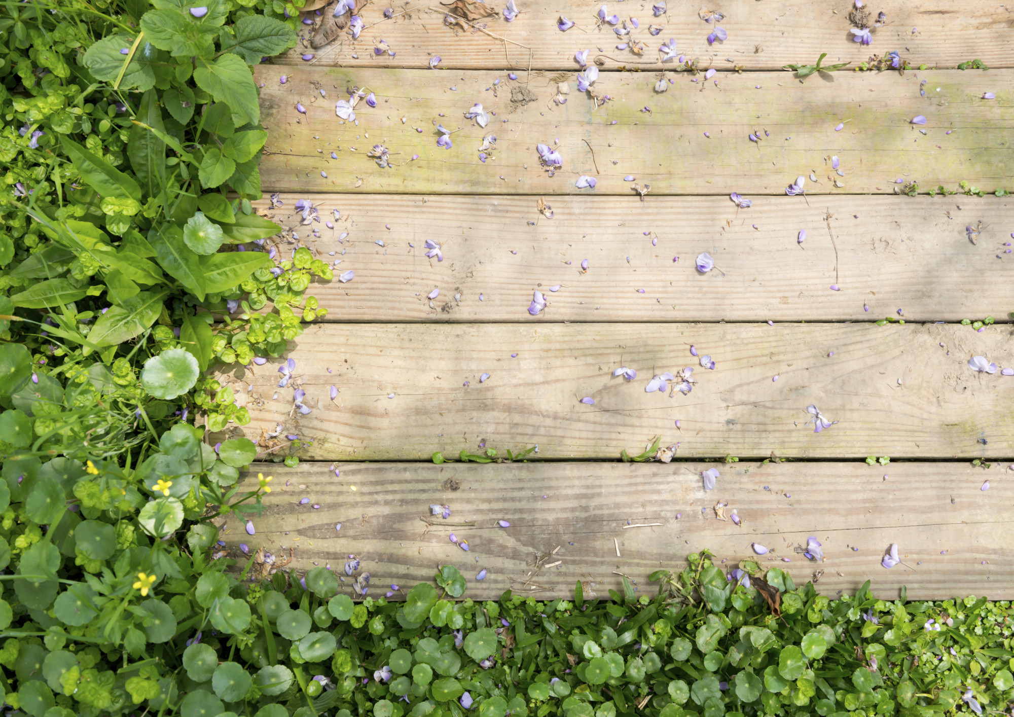 Installer des panneaux occultants