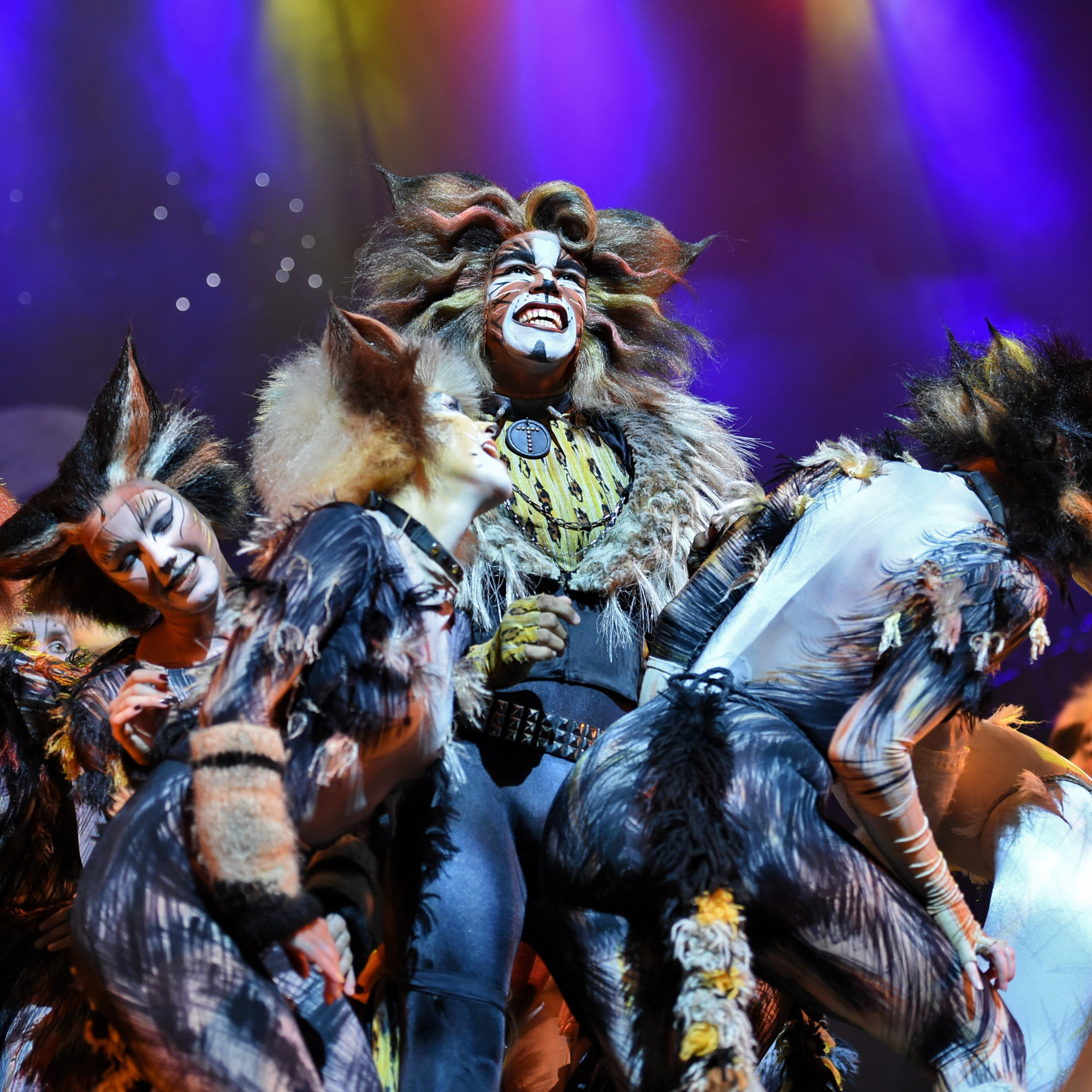 Кошки уэббера. Мюзикл эндрю ллойда уэббера кошки. Мюзикл кошки ллойд уэббер. Мюзикл кошки эндрю ллойд уэббер гризабелла. Мюзикл мюзикл эндрю ллойд уэббера.