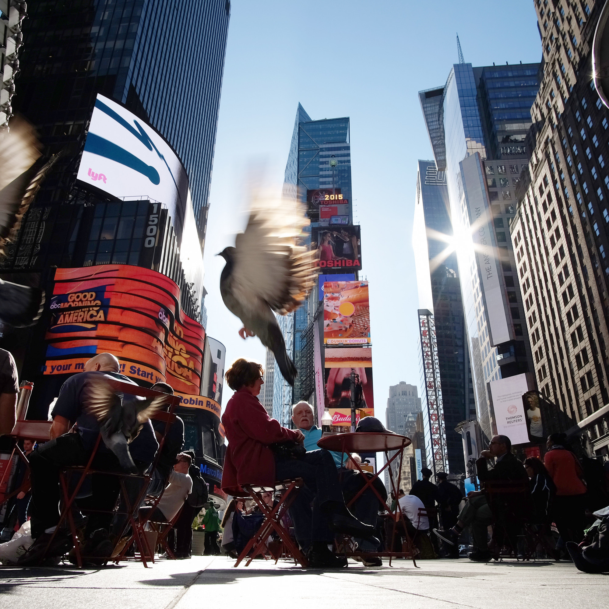 Record historique de chaleur à NewYork pour un 6 novembre