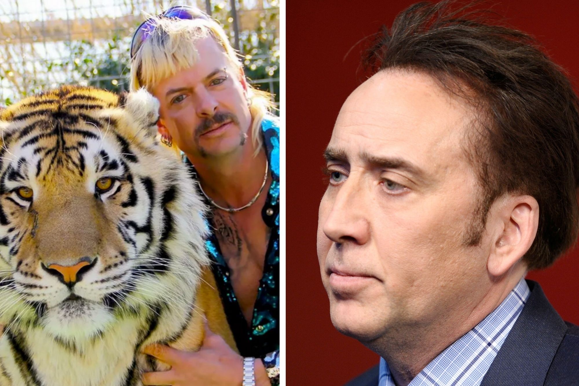 Nicolas Cage Is Joe Exotic In New Deepfake Video