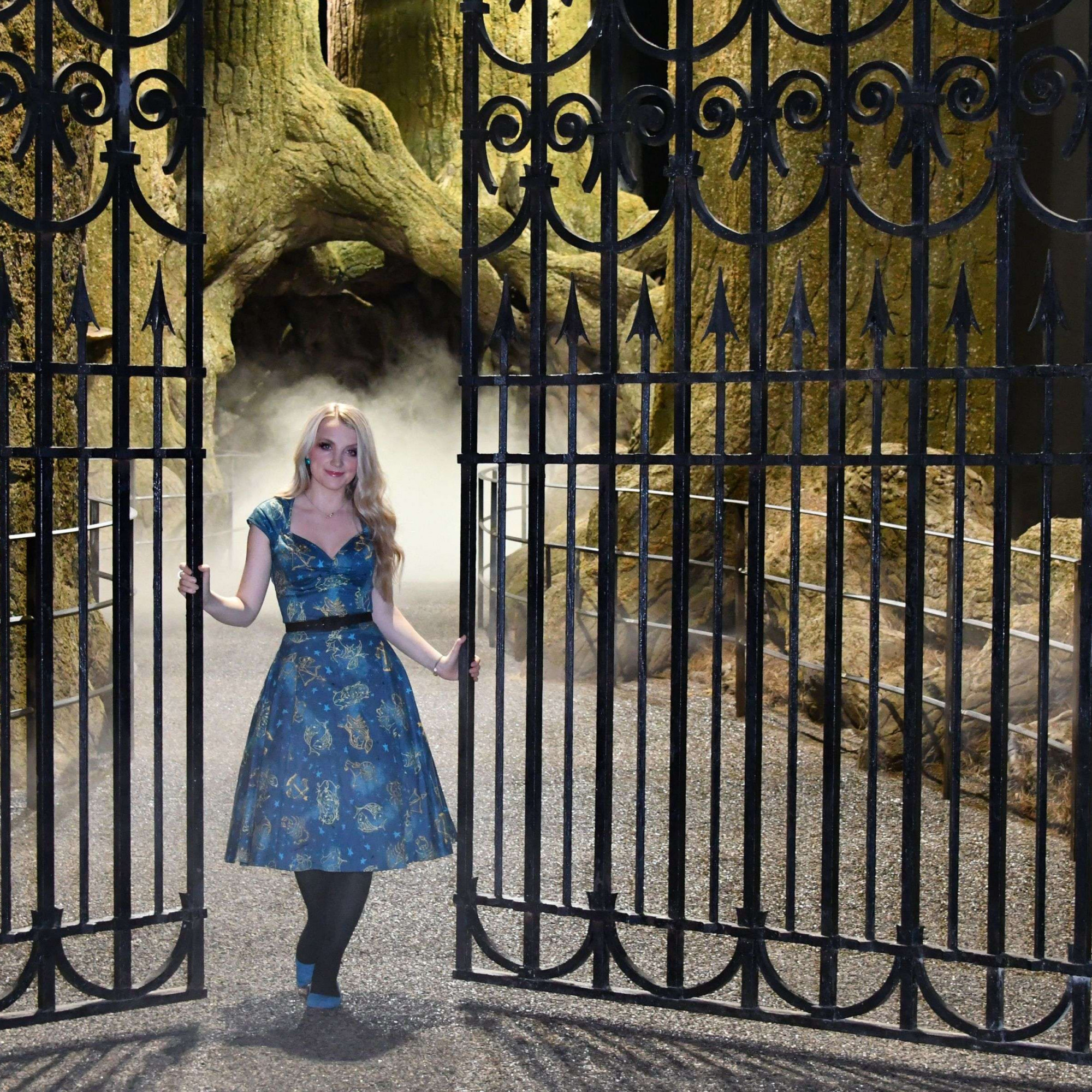 "Harry Potter" visite de l