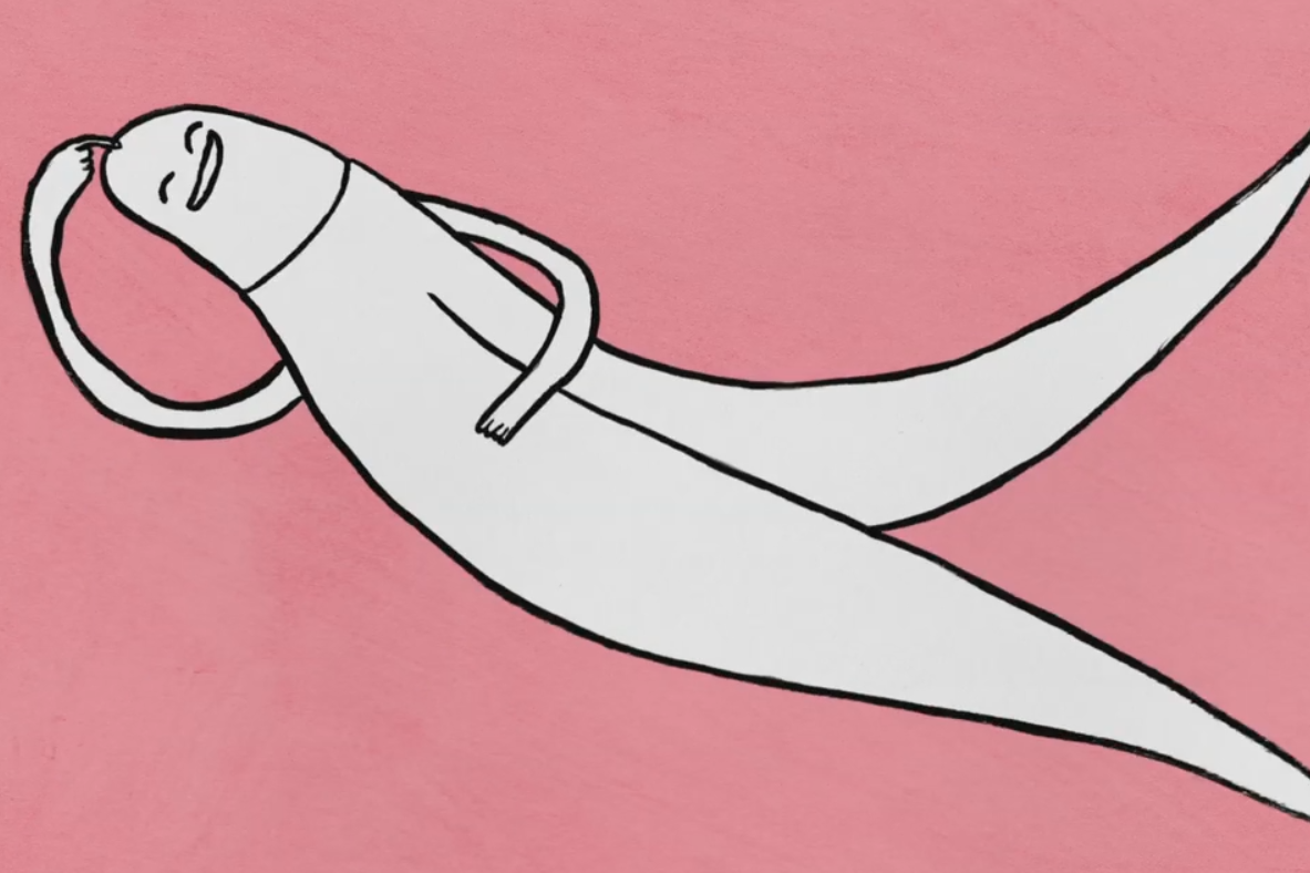 Un clitoris géant exposé au cœur de Bruxelles pour briser le tabou