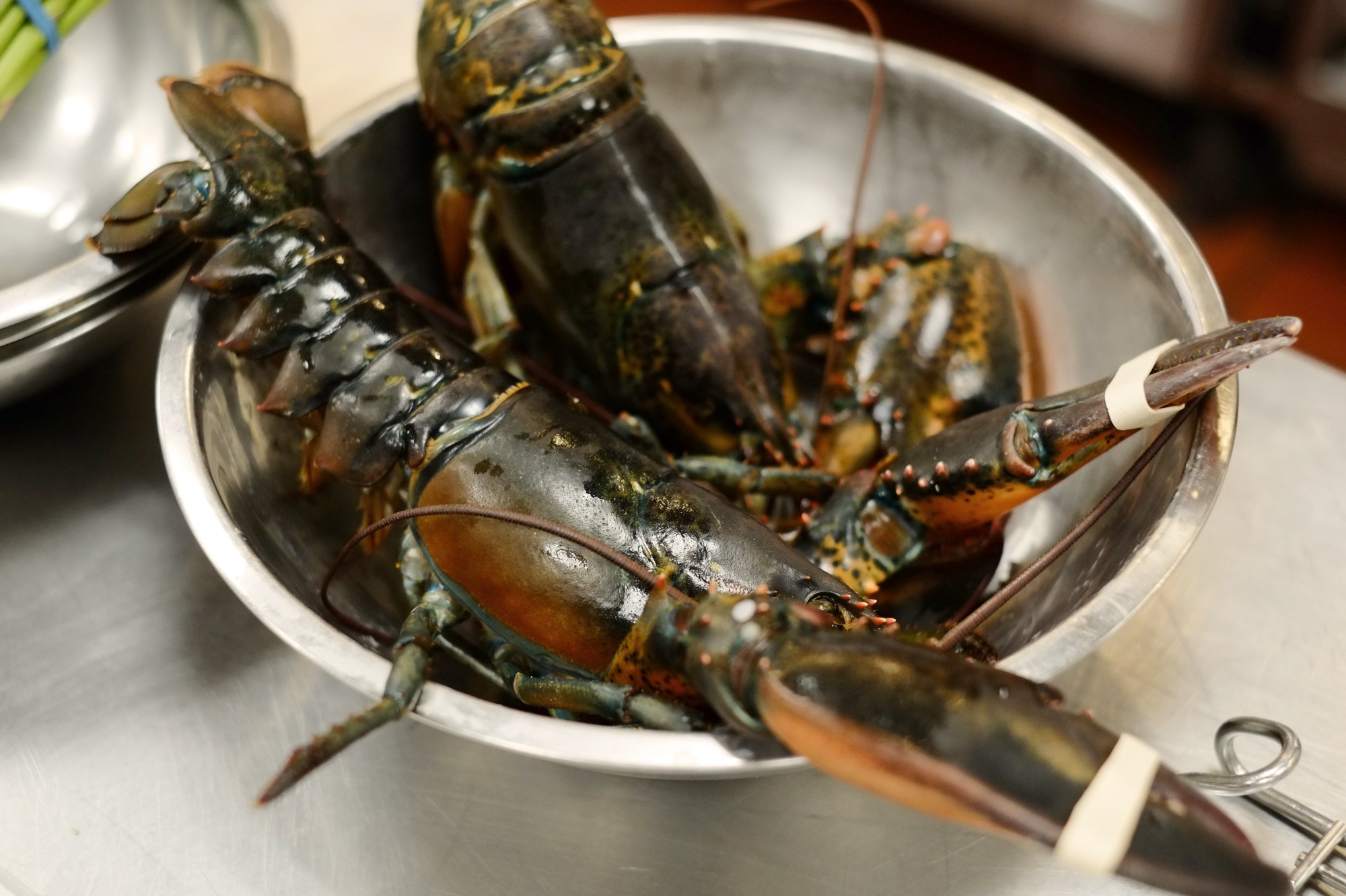 Hommards La Suisse interdit de plonger des homards vivants dans l'eau bouillante