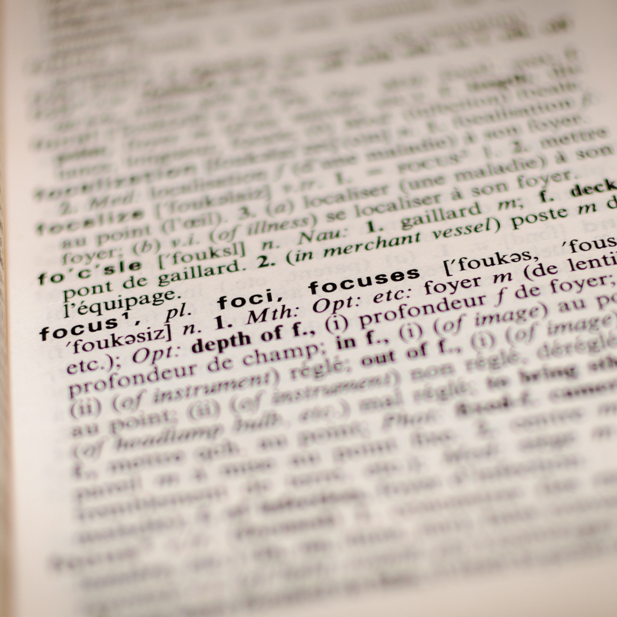 Quelles différences entre le Petit Larousse et le Petit Robert