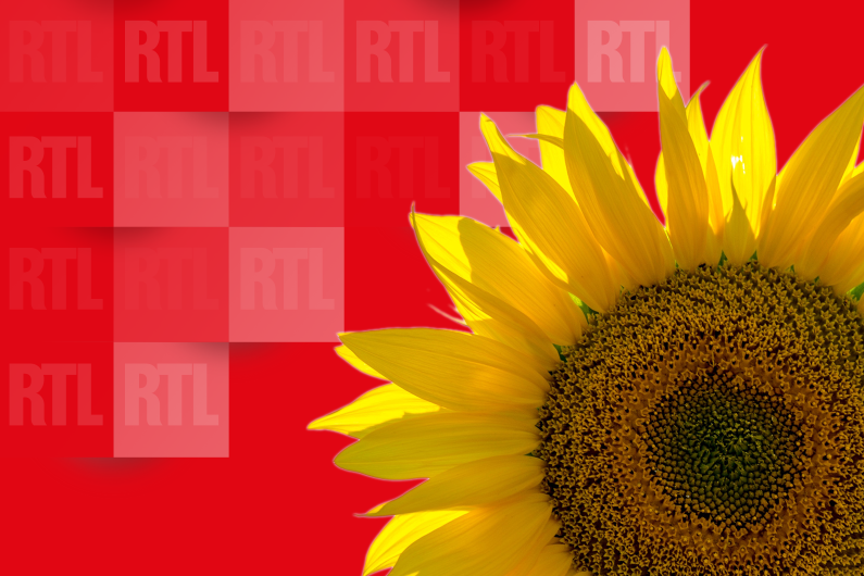 Une Minute Qui Peut Tout Changer Du 24 Novembre 2019