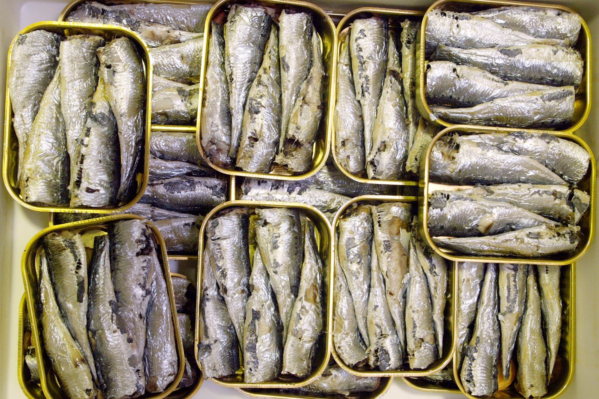 Michel Cymes Comment Conserver Des Os Solides