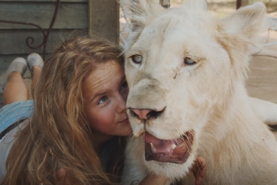 "Mia et le lion blanc" : Gilles de Maistre fait le pari de "tourner