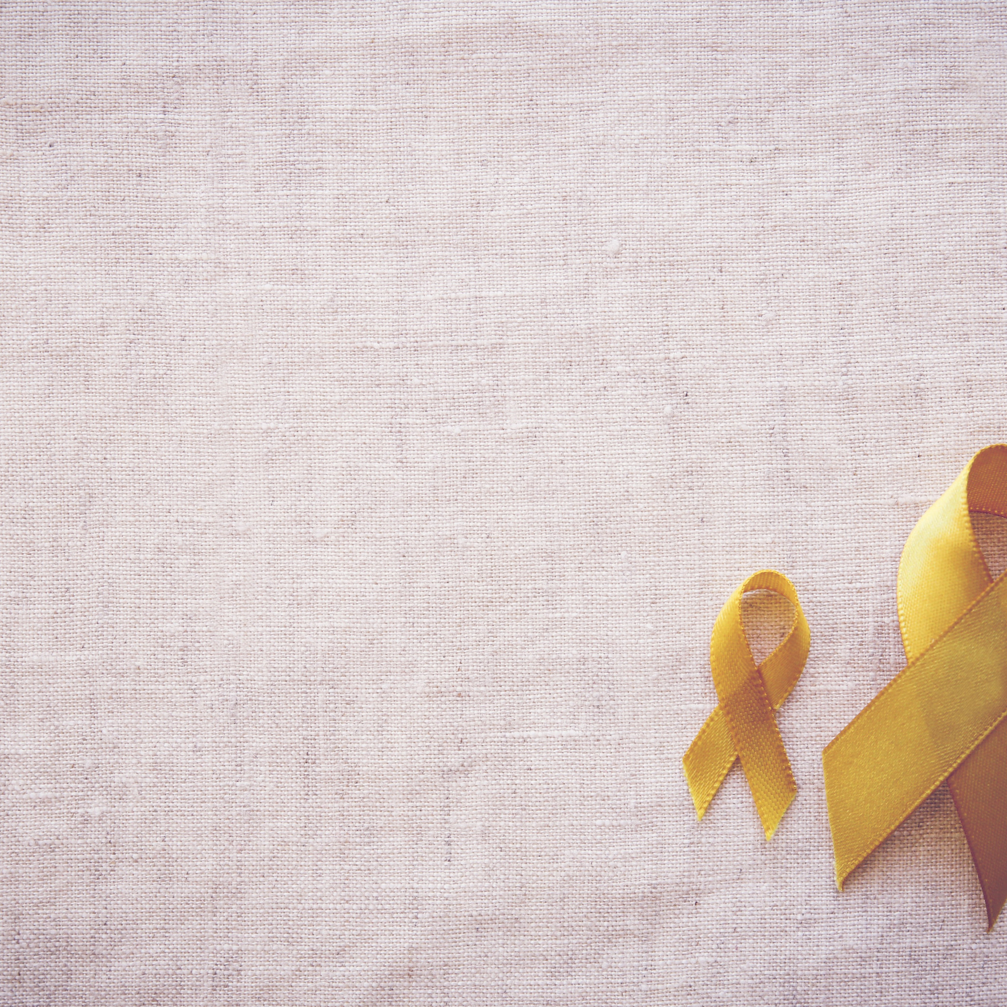 US WorldMeds Receives 2026 Vision of Hope Award for Sarcoma Advocacy