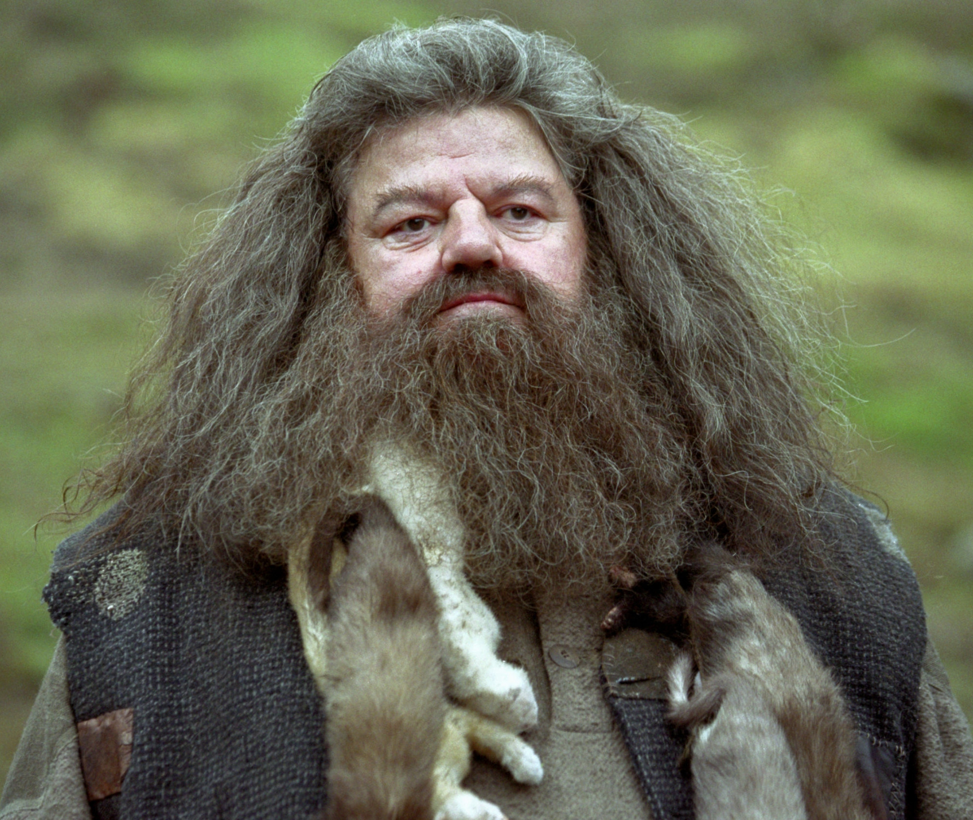 Robbie Coltrane L acteur Qui Incarnait Hagrid Dans Harry Potter Est 
