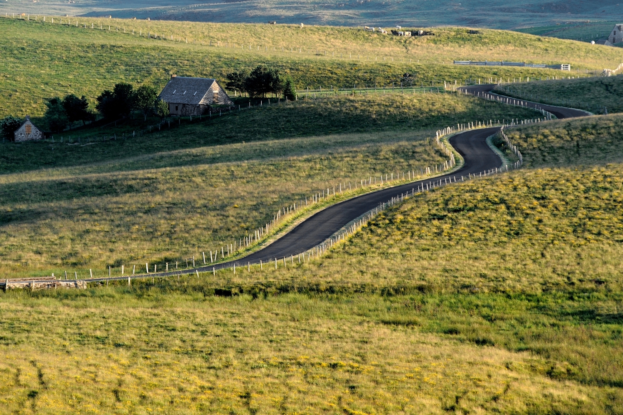 The Architecture of Support