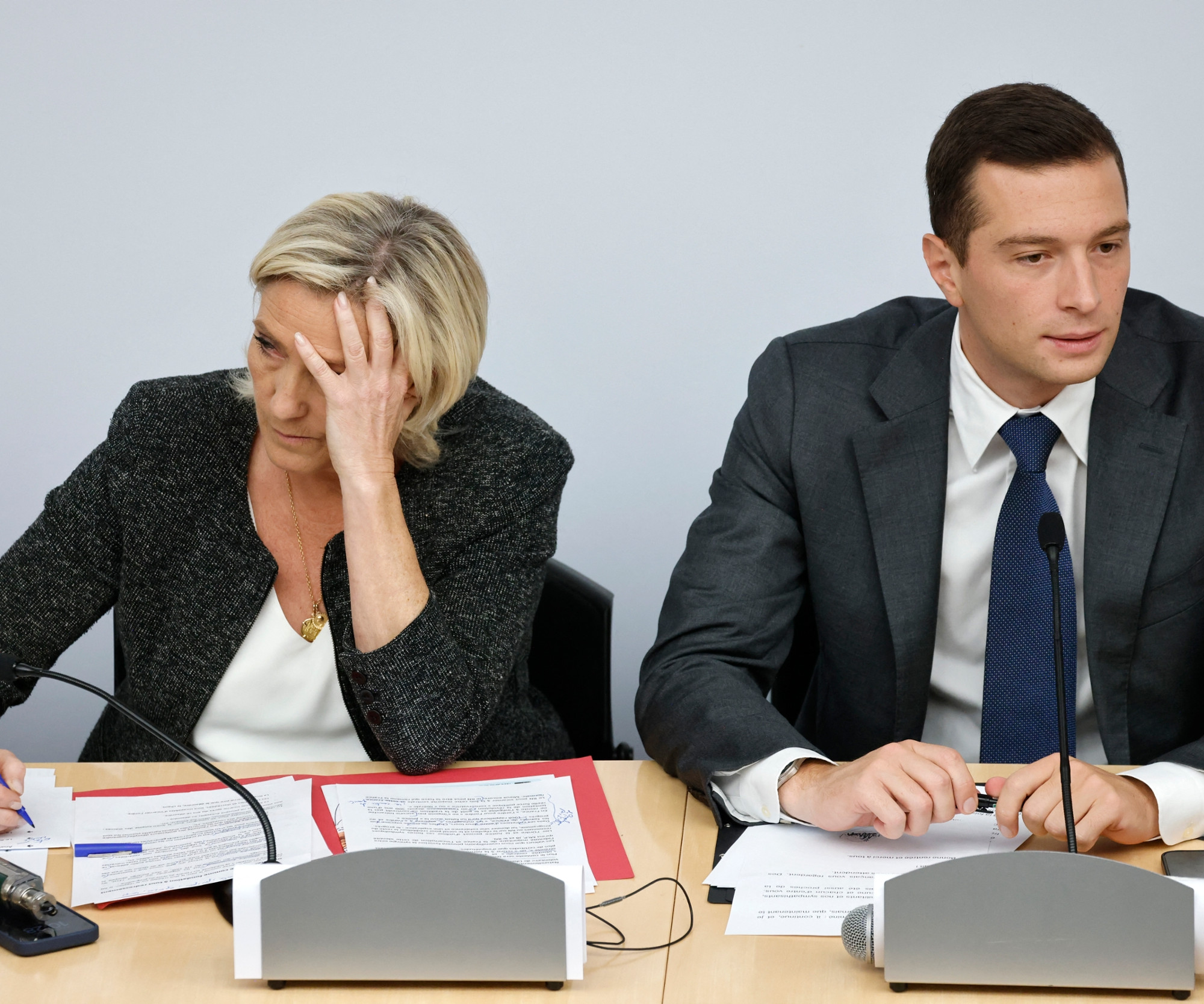 Marine Le Pen condamnée : la manifestation de soutien "n'est pas un coup de force", assure Jordan Bardella