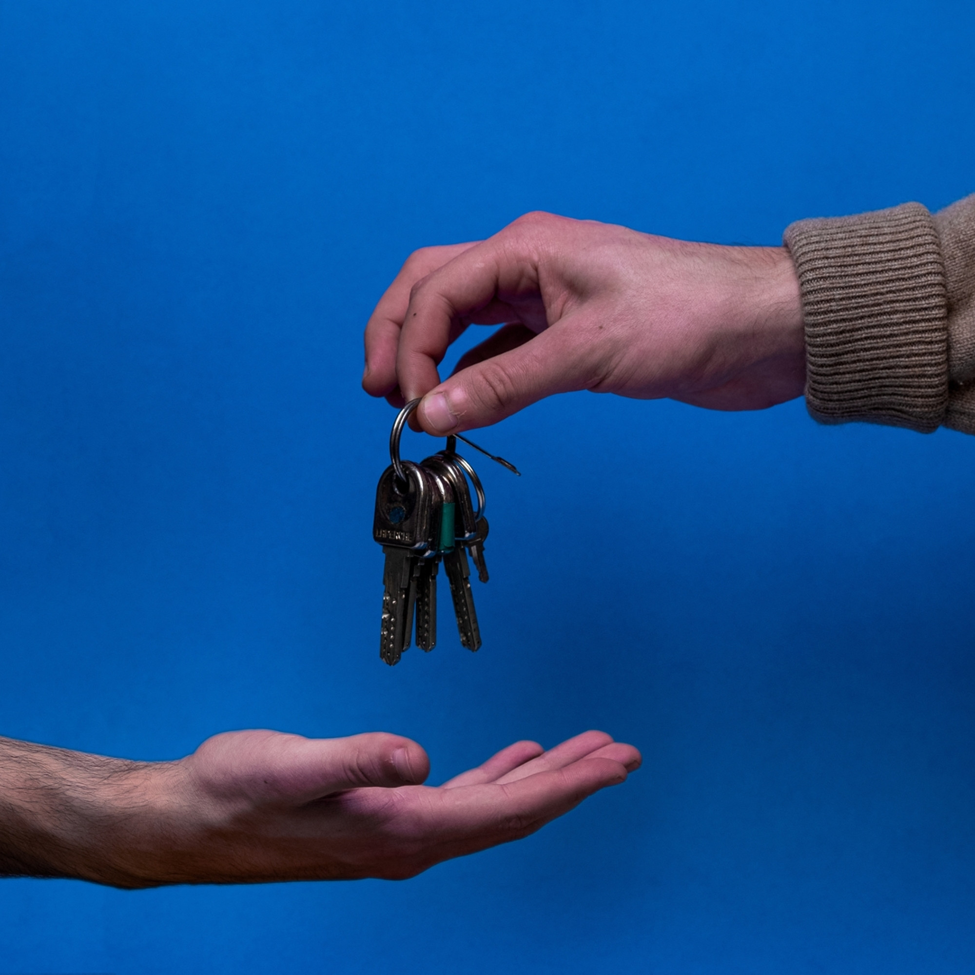 “A rather resilient market”: the real estate sector is doing well despite the international context