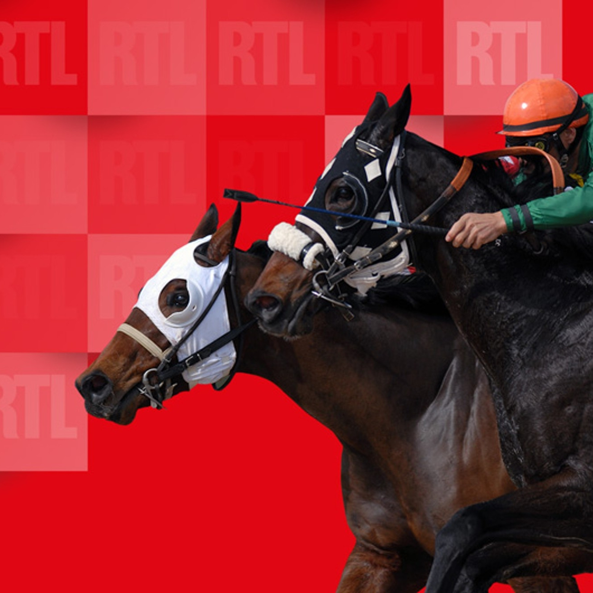 Photo: rtl.fr Quinté+ Predictions: The Aga Khan Studs Prix François André Tips (August 16)
