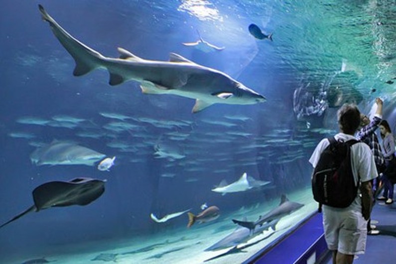 RTL2 Niort vous offre vos entrées pour l'Aquarium de La Rochelle!