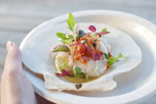 Comment cuisiner des coquilles Saint-Jacques