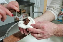 Une mozzarella fourrée au Nutella.