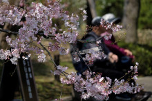 Le printemps (illustration)