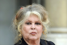 Brigitte Bardot à l'Élysée en 2007 (illustration)