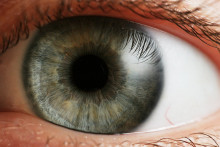 Un oeil (illustration)