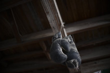 Des gants de boxe (Illustration)