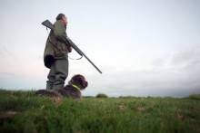 Un chasseur patiente avec son chien (Illustration).