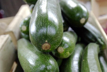 Des courgettes (illustration)