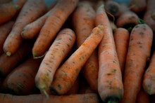 Des carottes issues de l'agriculture biologique (illustration)
