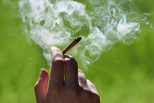 Environ 16 % des jeunes d'Occitanie ont consommé du cannabis le mois dernier contre près de 14 % au moyenne nationale.