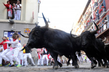 Des taureaux dans les rues de Pamplune, en juillet 2017 (Illustration)