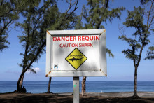 Un panneau indique la présence de requins à La Réunion (illustration)