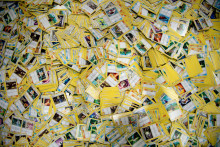 Des cartes Pokémon (illustration)