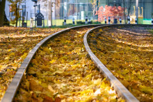 Feuilles mortes sur une voie ferré
