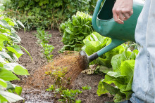 Du jardinage (image d'illustration)