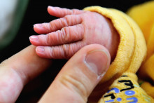 Photo illustration naissance