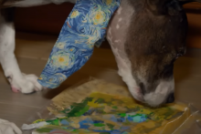 Van Gogh le chien peintre