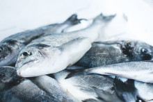 Des poissons sur un étal. (illustration)