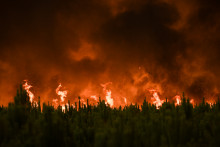 163 millions d'hectares brûlés dans le monde depuis le début de l'année