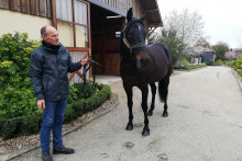 Ready Cash et Thierry Berthaud au haras de Bouttemont, près de Lisieux, en 2019.