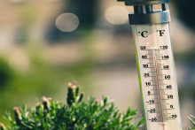 Un thermomètre (image d'illustration)
