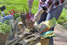 Les outils du jardinier (illustration)