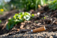 Un mégot de cigarette (illustration).