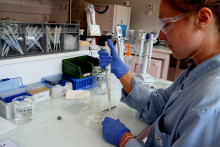 Un laboratoire spécialisé dans les allergies (photo d'illustration)